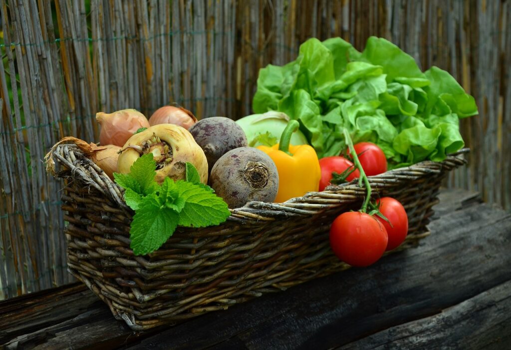 野菜の栄養素
